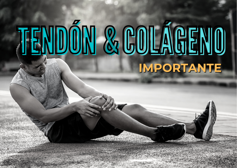 tendon y colageno