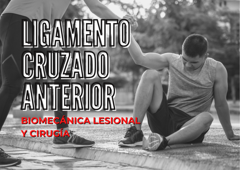 ligamento cruzado anterior